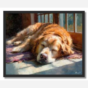 DOG IN SUNLIGHT - FRAMED