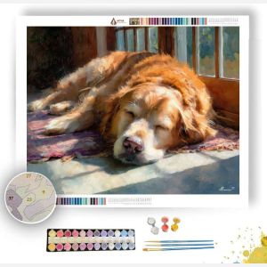 DOG IN SUNLIGHT - Paint by Numbers Full Kit