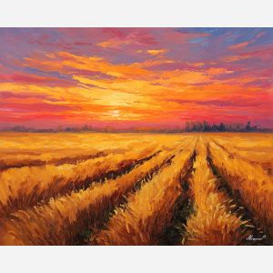 GOLDEN SUNSET FIELDS