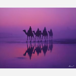 INDIAN DESERT TWILIGHT