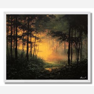 INDIAN FOREST LIGHT - FRAMED