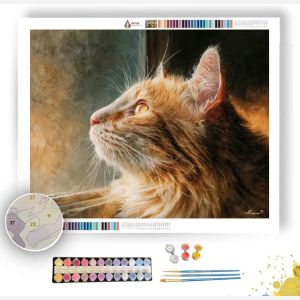 CAT AT THE WINDOWLIGHT - Paint by Numbers Full Kit