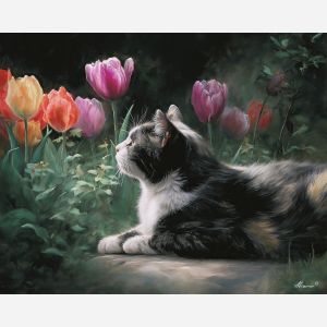 CAT AND TULIPS