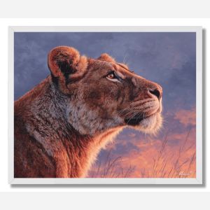 LIONESS AND SKY - FRAMED