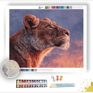 LIONESS AND SKY - Paint by Numbers Full Kit