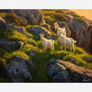 GOATS IN THE HILLS