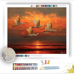 WINGS OVER WATER - Paint by Numbers Full Kit