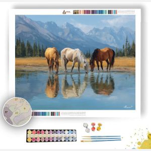 HORSES BY THE LAKE - Paint by Numbers Full Kit