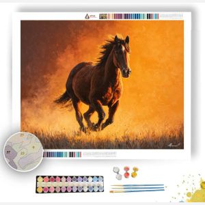 GOLDEN MANE WIND - Paint by Numbers Full Kit
