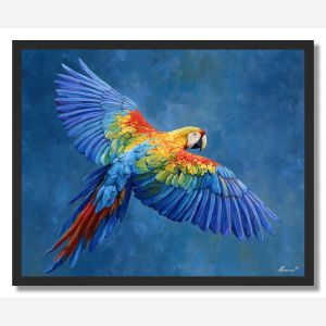 PARROT SYMPHONY - FRAMED