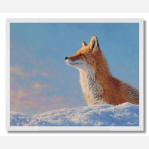 FOX IN SNOWLIGHT - FRAMED