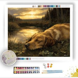 HOUND AT REST - Paint by Numbers Full Kit