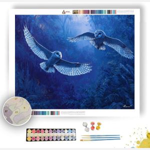 MOONLIGHT FLIGHT - Paint by Numbers Full Kit