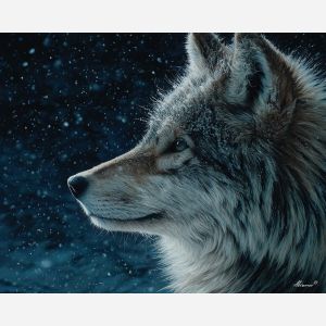 WOLF IN WINTER LIGHT