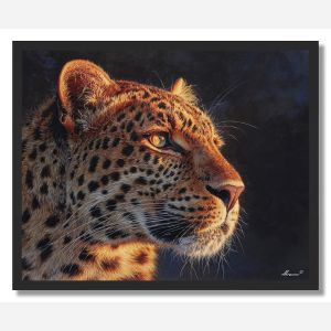 SUNLIT LEOPARD - FRAMED