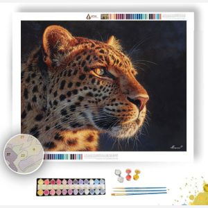 SUNLIT LEOPARD - Paint by Numbers Full Kit