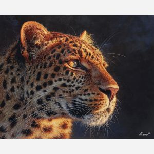 SUNLIT LEOPARD