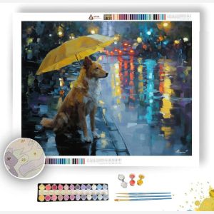 RAINY PARK DOG - Paint by Numbers Full Kit
