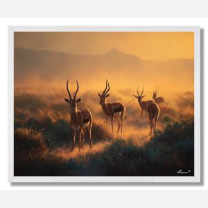 WILDLIFE SERENADE - FRAMED