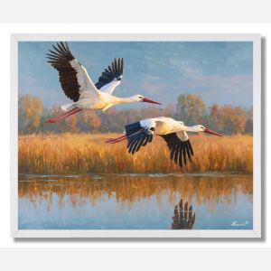 STORKS ABOVE WATER - FRAMED