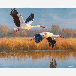 STORKS ABOVE WATER