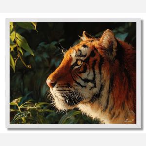 TIGER IN SUNLIGHT - FRAMED