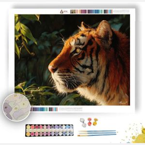 TIGER IN SUNLIGHT - Paint by Numbers Full Kit