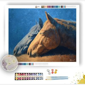 HORSES AT REST - Paint by Numbers Full Kit