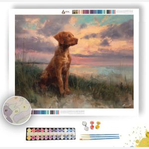 DOG BY THE SEA - Paint by Numbers Full Kit