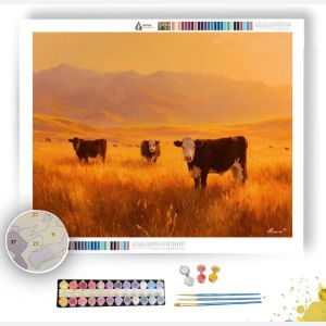 PASTURE GLOW - Paint by Numbers Full Kit