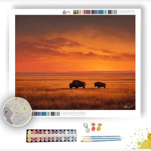 BISON AT SUNSET - Paint by Numbers Full Kit