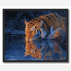 TIGER STREAM REFLECTION - FRAMED