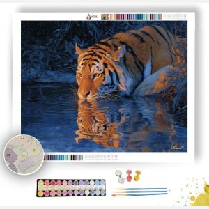 TIGER STREAM REFLECTION - Paint by Numbers Full Kit