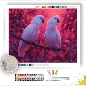 MORNING COCKATOOS - Paint by Numbers Full Kit