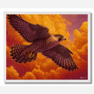 FALCON RISE - FRAMED