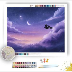 MOONLIT WITCHS FLIGHT - Paint by Numbers Full Kit
