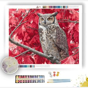 OWL IN THE MAPLES - Paint by Numbers Full Kit