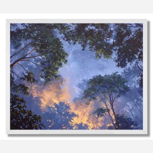 AMAZON NIGHT SKY - FRAMED