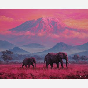 KENYAN MOUNTAIN DAWN