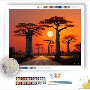 MADAGASCAR TREE SKY - Paint by Numbers Full Kit