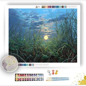 SAVANNA MOON RISE - Paint by Numbers Full Kit