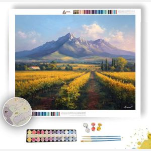 SOUTH AFRICAN WINELAND - Paint by Numbers Full Kit