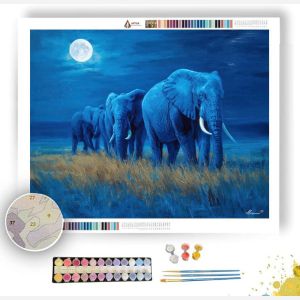 KENYAN MOON SAFARI - Paint by Numbers Full Kit