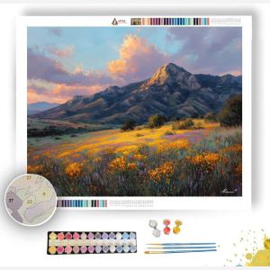 CAPE FLORAL SKY - Paint by Numbers Full Kit