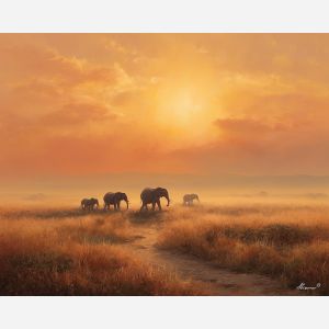 KENYAN SAVANNA LIGHT