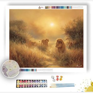 SAVANNA PATH SUN - Paint by Numbers Full Kit