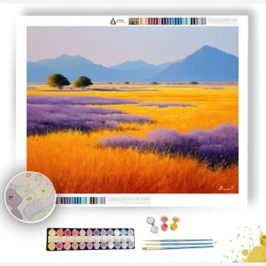 NAMIB SUN FIELDS - Paint by Numbers Full Kit