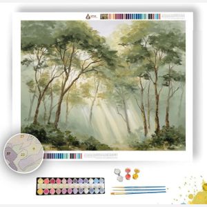 MISTY FOREST MORNING - Paint by Numbers Full Kit