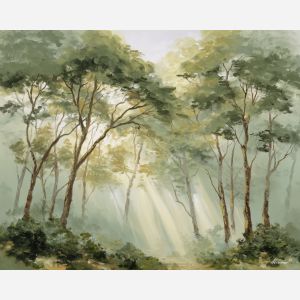 MISTY FOREST MORNING