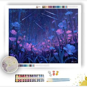 STARFALL MEADOWS - Paint by Numbers Full Kit